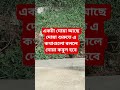 অনেকেই চায় আমার দোয়াটা কবুল হোক #আদনান_ওয়াজ #adnanwaz