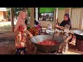 Cambodia  muslim village life ep1  tboung khmum province