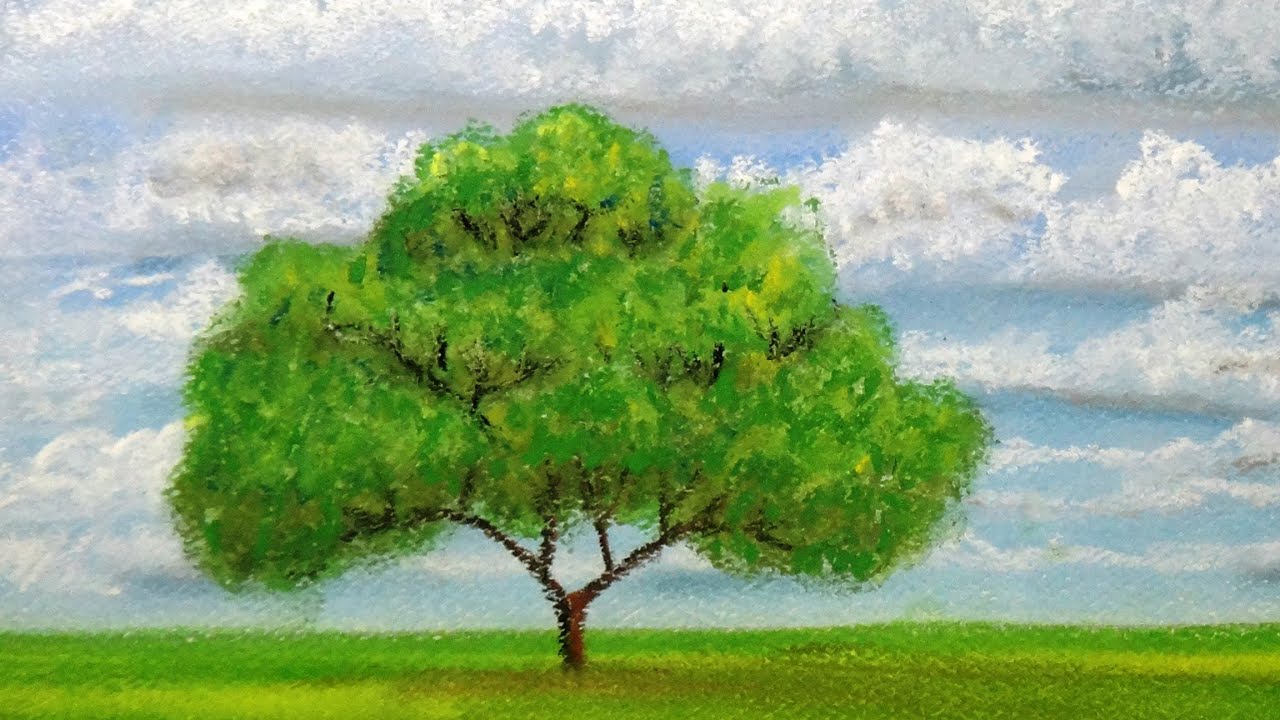 How to draw a tree at distance with pastels - YouTube