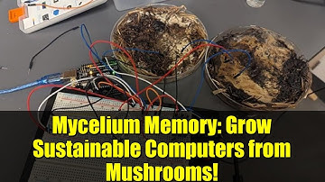 Mycelium Memory: Grow Sustainable Computers from Mushrooms!