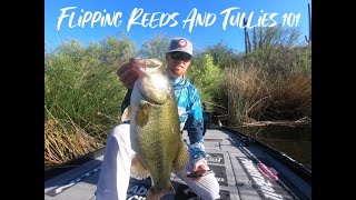 Flippin Tullies