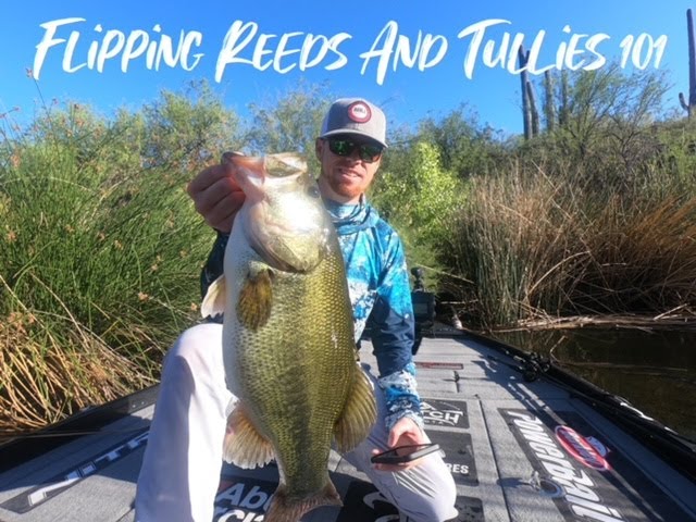 Fishing Reeds with Soft Plastics & Frog Fishing: Tech Tips #7 