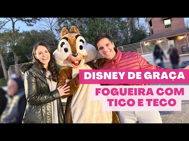 Chip 'n' Dale's Campfire - a fogueira do Tico e Teco