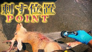 止め刺しの位置はココだ！！一刺し、きれいな血抜きを目指して