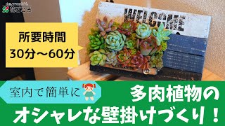 【おうち時間】多肉植物で生きた壁掛けづくり【お子さんも一緒に♪】