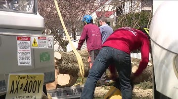 Clean-up continues after 6 tornadoes rip through parts of Delaware Valley