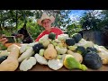 How To GROW, HARVEST and COOK Squash [The Easy Way]