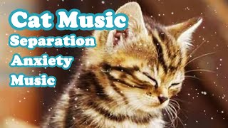 Meowtiful Melodies: Summer Lullaby for Cats | Relaxing Piano Music to Help Your Furry Friend Unwind