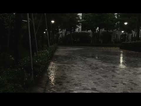 Calm Rainfall in a Silent Neighborhood 🌧️ Soothing Ambience for Sleep & Relaxation