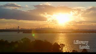 CameraTalk: Sea Overlooking Suspension Bridge