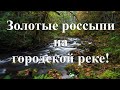 Золотые россыпи на городской реке.