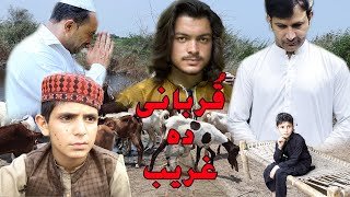 Pashto New Drama 2024 // QURBANI DA GHARIB // Best Islahi Video 2024