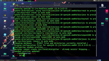 How to check how many java versions are installed on Parrot Security Linux
