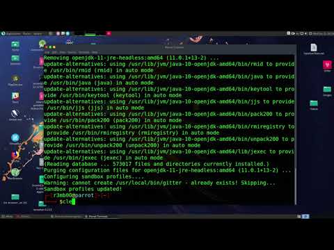 How to check how many java versions are installed on Parrot Security Linux