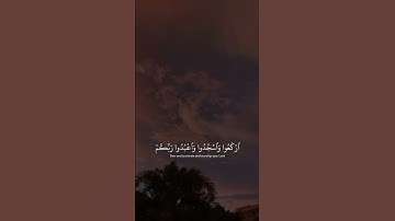 اكتب شي تؤجر عليه ❤ | القارئ عبدالرحمن مسعد | قرآن كريم