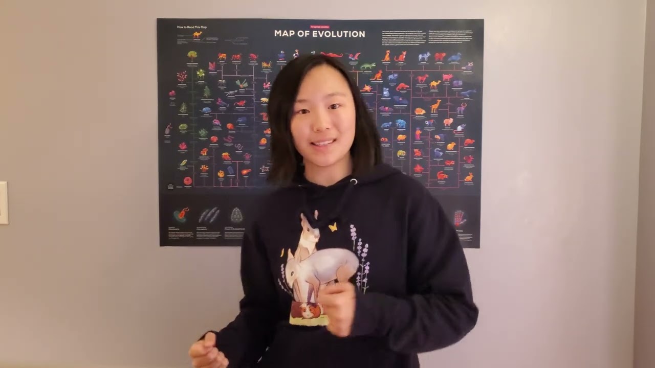 A Brief look at Earth's Climate History