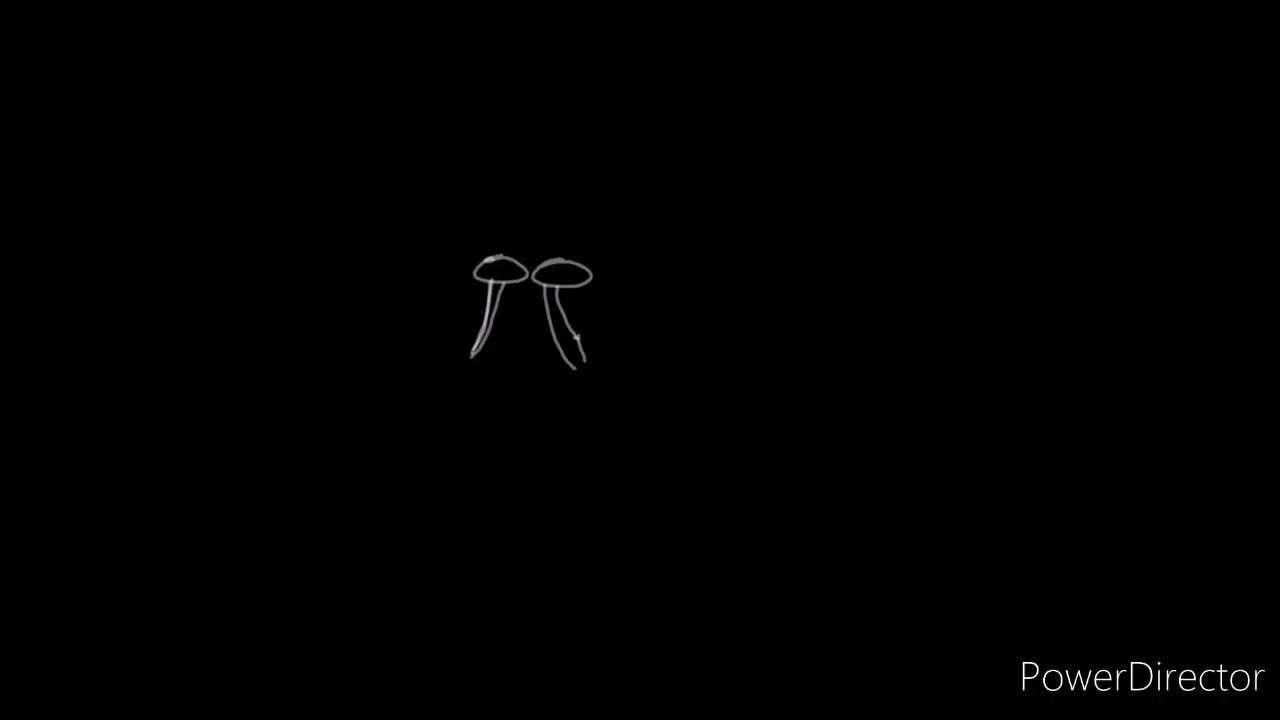 How To Draw Tears (Ibis Paint) YouTube