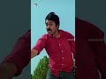 Jalsa Movie Scenes | #pawankalyan #ileanadcruz #prakashraj #sunil #brahmanandam #shortsvideo #shorts