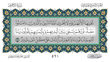 سورة التحريم القارئ عمر مظفر