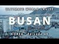 Busan seafood paradise ep 48 ultimate world cruise bz travel