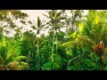 Lofi x Chill Type Beat - "Exotic"