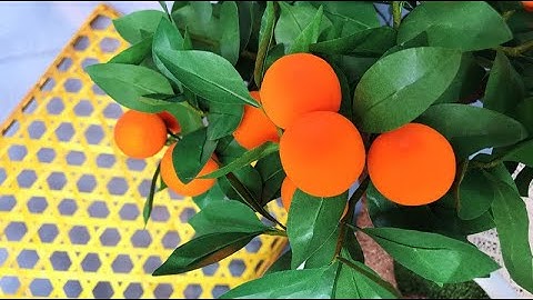 ABC TV | How To Make Mini Tree Paper With Balloon - Craft Tutorial