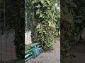 ein zauberhafter Ort