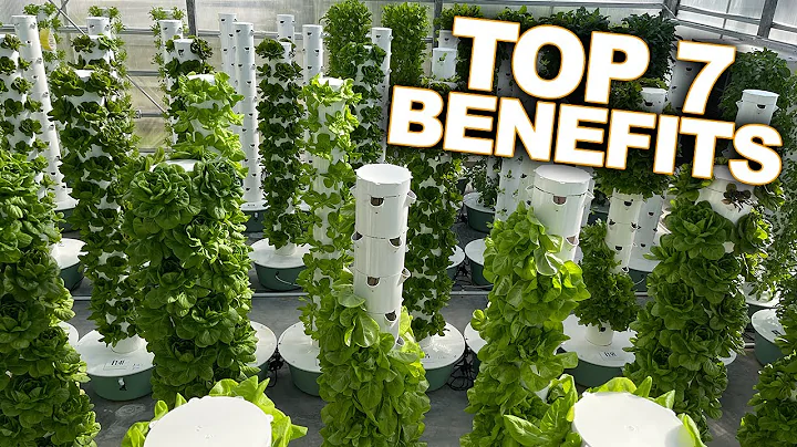 Vertical Farming with Aeroponics: Top 7 Benefits of a Tower Farm - DayDayNews