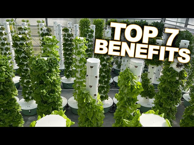 Vertical Farming With Aeroponics Top 7