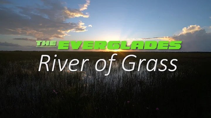 The Everglades River of Grass Documentary
