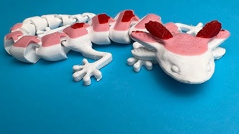 Articulating Axolotl 3D Print Time Lapse  || Movable Axolotl 3D Print || One Piece Print Axolotl