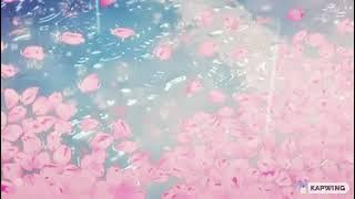 akb48 - 桜の花びらたち || sakura no hanabiratachi (slowed   reverb)