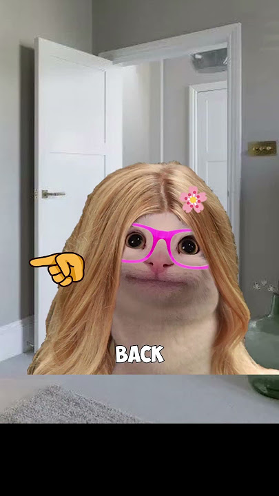 BELUGA LOVES COOKIE 🍪