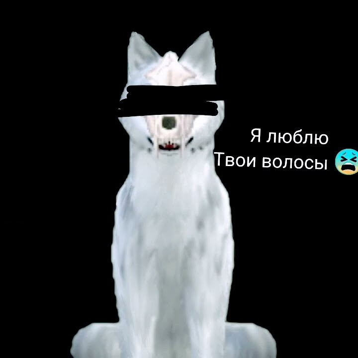 ~Я ХОЧУ СПАТЬ С ТОБОЙ! ~ #рекомендации #вилдкрафт #яхочуспатьстобой ...