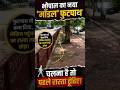 भोपाल का 'अनोखा' फुटपाथ! | रेलिंग इतनी ऊंची कि चढ़ना ही मुश्किल | करोड़ों के सौंदर्याकरण पर सवाल