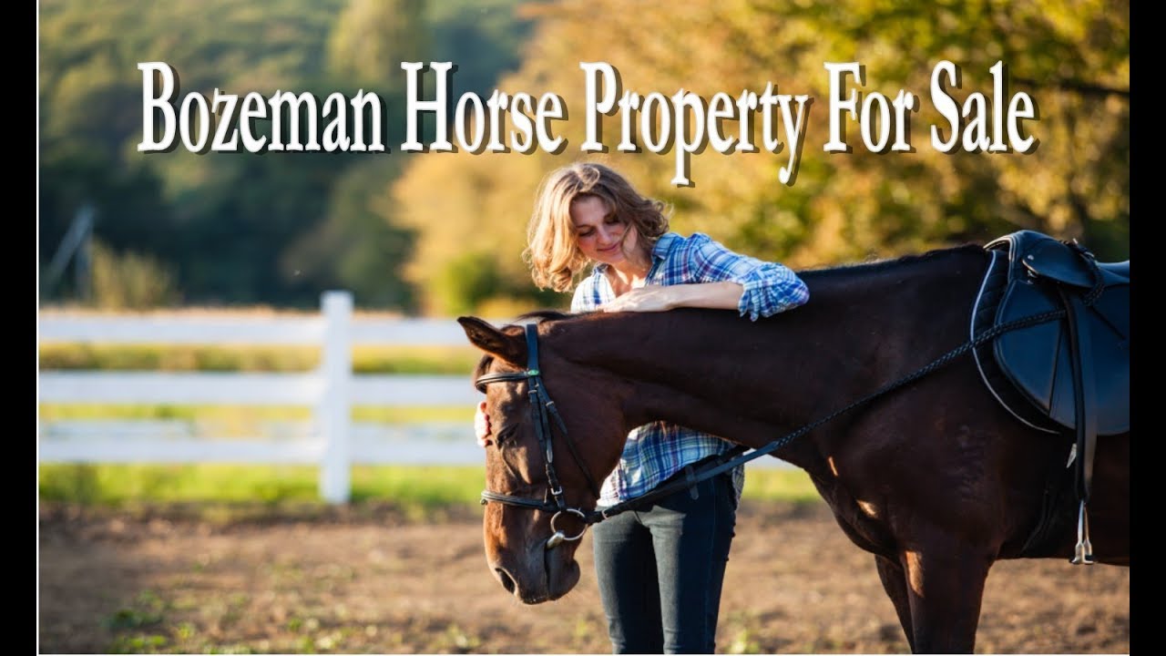 Bozeman Montana Horse Property For Sale With Studio Apartment Rental