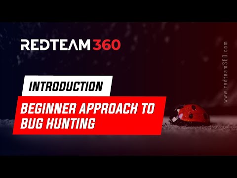 Beginner Approach to Bug Hunting