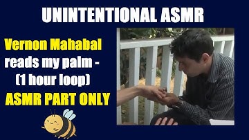 Unintentional ASMR - Vernon Mahabal reads my palm (1 Hour Loop - ASMR part only)