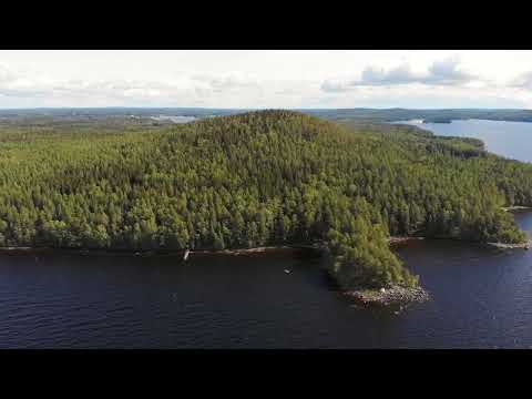 Three Sysmä videos: local introduction, Päijätsalo hike and Tainionvirta wildlife