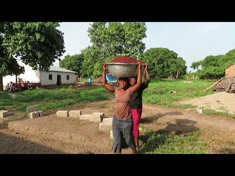 Carrying Roasted Nuts To Dry #sheabutter #madeinghana #fairtrade