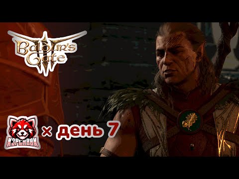 Прохождение Balduru0027s Gate 3: день 7 - друидов этих хрен найдёшь