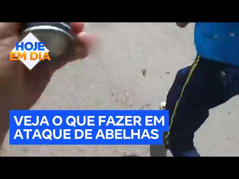 Veja o que fazer caso seja atacado por um enxame de abelhas