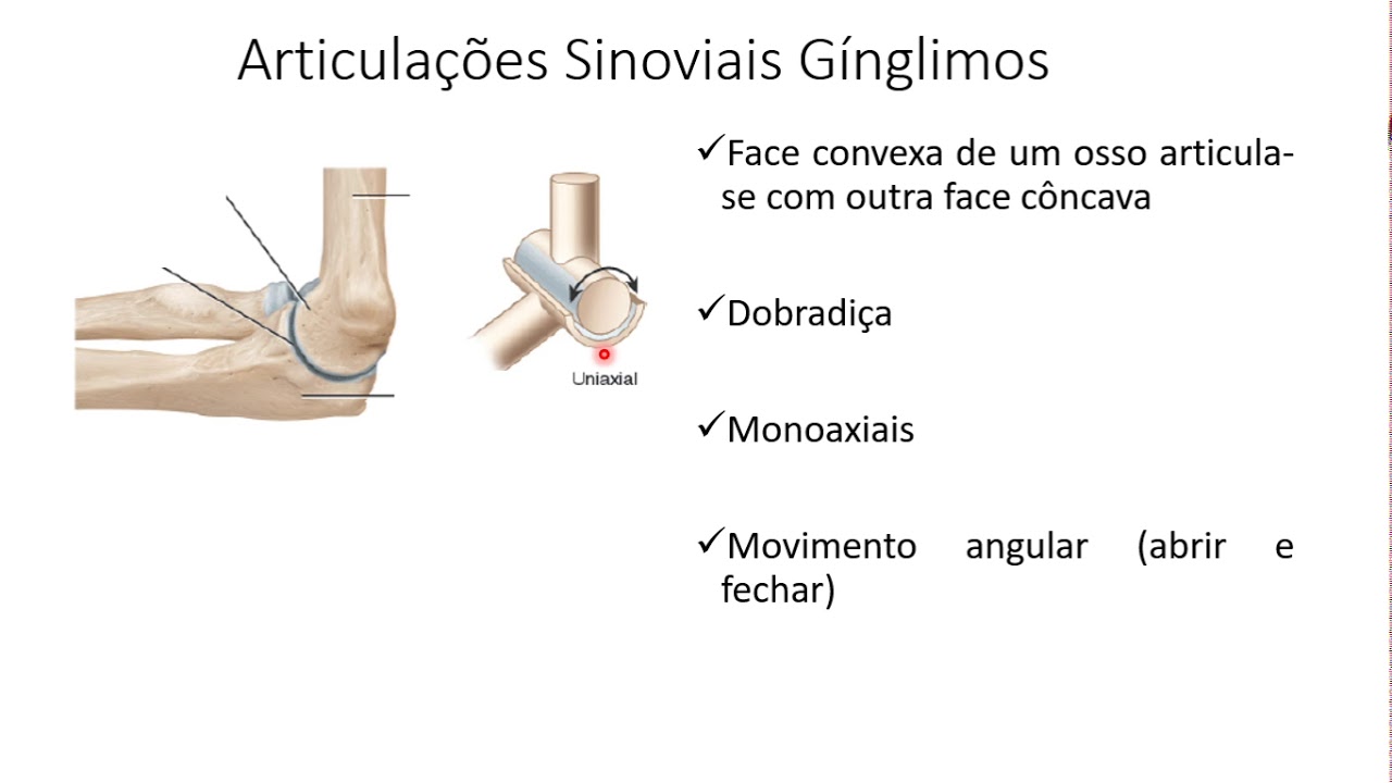 Introdução à Anatomia do Sistema Articular Tipos de Articulações ...