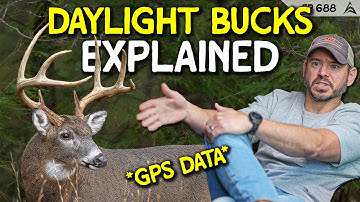 Deer Biologist: The Science Behind Buck DAYLIGHT Movement