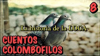 Palomas mensajeras & Colombofília. Cuentos colombófilos. La historia de la LOCA.