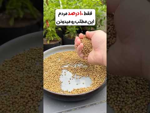 آب گشنیز قاعدگی نامنظم