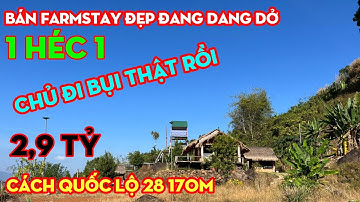 Bán Farmstay View Hồ Tà Đùng Đẹp Mê,Khí Hậu Mát Mẻ Quanh Năm,Thích Hợp Nghỉ Dưỡng