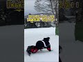 #kk理論 #snowboard #カービングターン