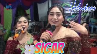VINE- SUCI - LINA / SIGAR - HALMAHERA | MAWAN & DESI -  | AVS Multimedia - MAHAMERU Audio
