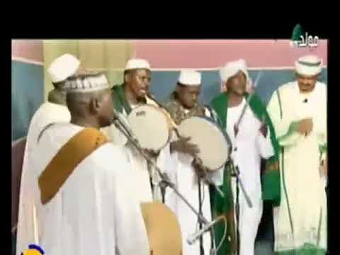 مدحة القوم بريدهم 